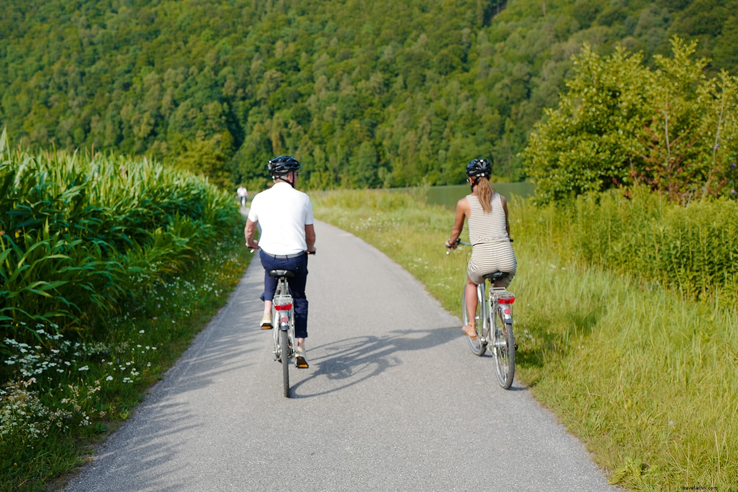 6 Immersive Activities Redefining River Cruising with Avalon Waterways